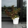 Selvvandende pot Garden ID Hvid