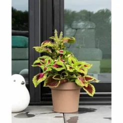 Selvvandende pot Garden ID Taupe