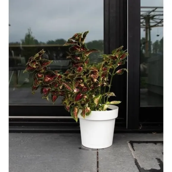 Selvvandende potte - GARDEN ID Glamour - Hvid 40 cm - Kornet overflade - Indendørs/udendørs - Elegant design.
