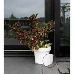 Selvvandende potte - GARDEN ID Glamour - Hvid 40 cm - Kornet overflade - Indendørs/udendørs - Elegant design.