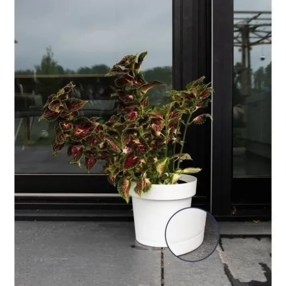 Selvvandende potte - GARDEN ID Glamour - Hvid 40 cm - Kornet overflade - Indendørs/udendørs - Elegant design.