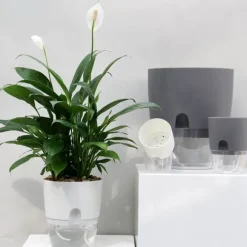 Självbevattningskruka Bomullsrep Plast Dekorativ planteringskruka för utomhusväxter inomhus Blommor Örter Vit 15,3 cm/6 tum Diameter