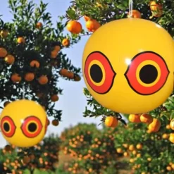 Skadedyrsafskrækkere Terror Eyes Oppustelig fugleskræmmeballon Fugleafskrækkende øjneballon