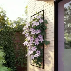 Skovranke - 2 stk. - Clematis 'Hagley Hybrid' - Højde 100-120cm - ⌀17cm