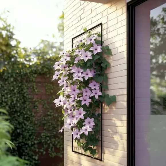 Skovranke - 2 stk. - Clematis 'Hagley Hybrid' - Højde 100-120cm - ⌀17cm