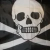 Skull flag
