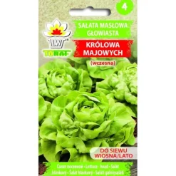 Smørhovedsalat MAJDRONNINGEN 2 g