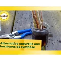 SOLABIOL SOBOUTU40 Osiryl stiklinger 40 ml, rodstimulator