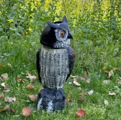 Solcelledrevet fugleafviser Owl Sonic 3-i-1