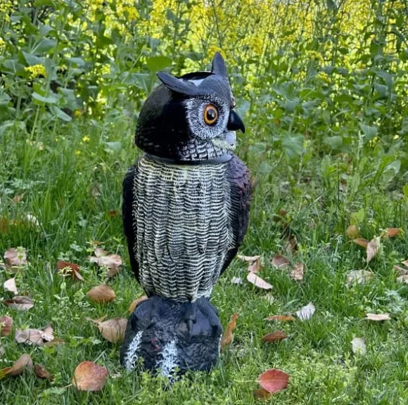 Solcelledrevet fugleafviser Owl Sonic 3-i-1
