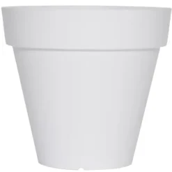 SOLEILLA ROND 50 VIT