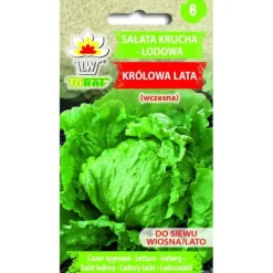 Sprød isbergsalat SOMMERENS DRONNING 1 g