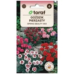 Spring Beauty Mix - velduftende og langblomstrende staude
