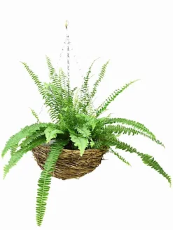 Sæt med 5 hængende plantekurve “Natural HB115”