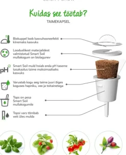 Sæt med 3 produkter. Click & Grow Smart Garden refill Busy Lizzie 3stk
