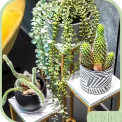 Stående blomsterstativ, metalhylde, blomsterstativ, planter, potter, 4 niveauer