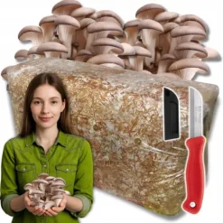Østershattemyceliumballe 15 kg hjemmedyrkning hurtig høst + gratis