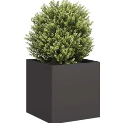 Stilfuld plantekasse i koldvalset stål - Højbed | Farve: Sort | Størrelse: 40x40x40 cm