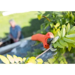 Stocker Teleskopisk Beskæringssaks Kantia E-22 Tr 180-300 Cm