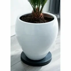 Støtte med hjul til potter Nature Sort polypropylen (Ø 29,2 x 4 cm)