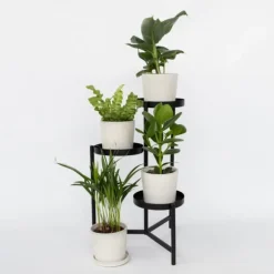 Stueplanter 'Green Quartet' - Sæt med 4 - Højde 25-40cm - ⌀12cm