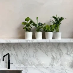 Stueplanter 'Green Quartet' - Sæt med 4 - Højde 25-40cm - ⌀12cm