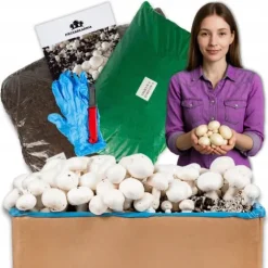 Svampe til dyrkning, svampespire, 30 kg, stort sæt, instruktioner + gratis