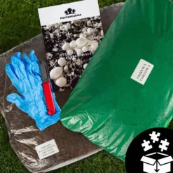 Svampe til dyrkning, svampespire, 30 kg, stort sæt, instruktioner + gratis