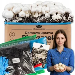 Svampedyrkningssæt 5 kg mycelium Hjemmesvampedyrkning + Gratis