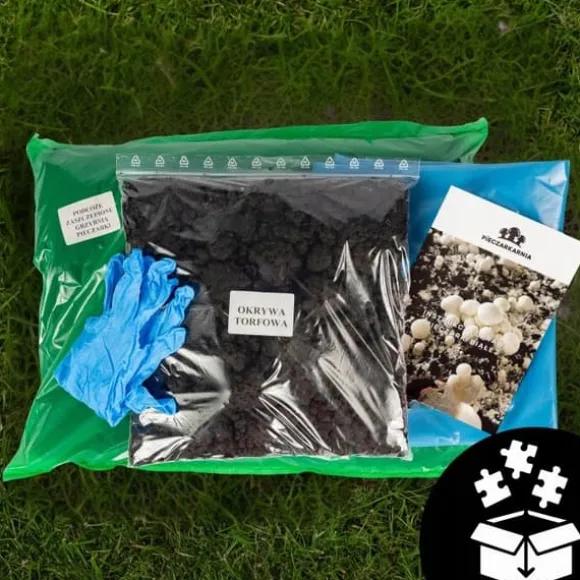Svampedyrkningssæt 5 kg mycelium Hjemmesvampedyrkning + Gratis
