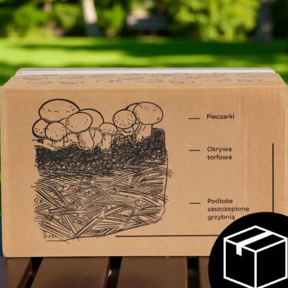 Svampedyrkningssæt 5 kg mycelium Hjemmesvampedyrkning + Gratis