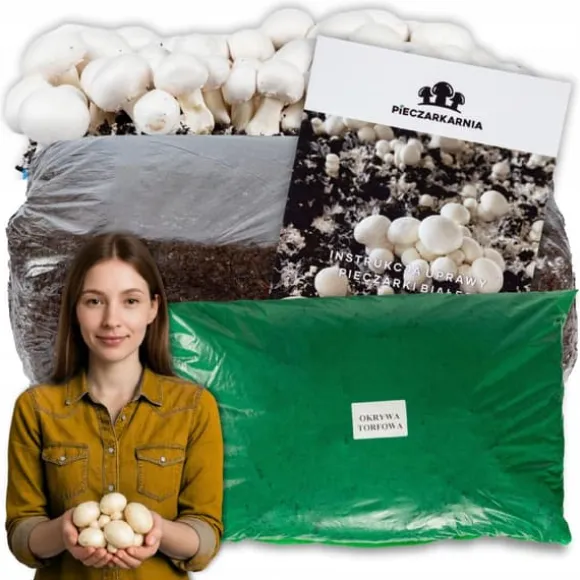 Svampemycelium 3-faset 20 kg dyrkningssæt ballesubstrat + tørv 9 kg