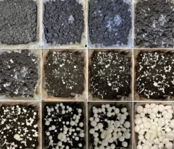 Svampemycelium 3-faset 20 kg dyrkningssæt ballesubstrat + tørv 9 kg