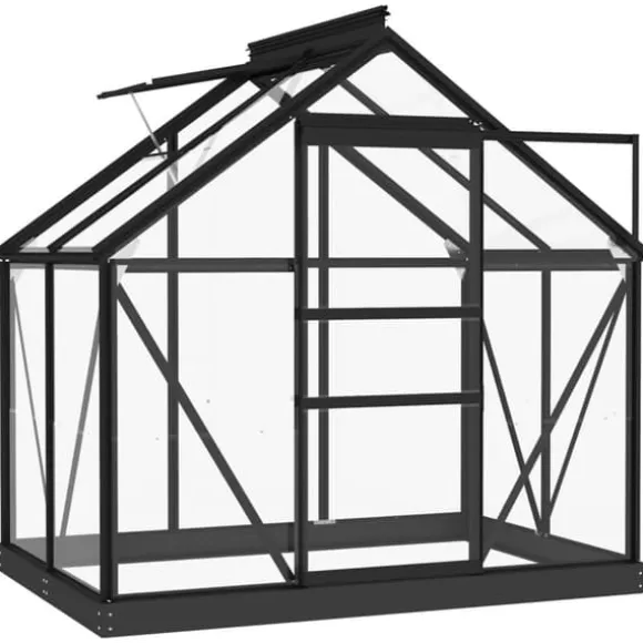 The Living Store glasdrivhus 155x103x191 cm aluminium antracitgrå - Drivhuse
