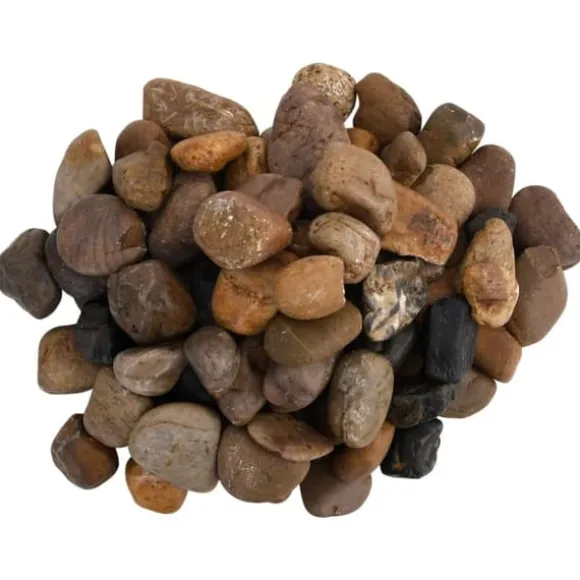 The Living Store polerede småsten 10 kg 2-5 cm flerfarvet - Pynt til akvarier