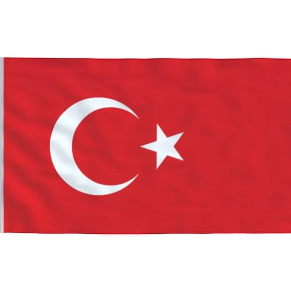 The Living Store Tyrkiet flag og flagstang 5,55 m aluminium - Flag & vimpler