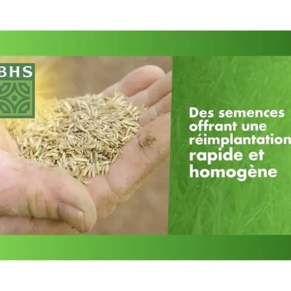 Tør genvækstgræs - BHS - 1 kg | 40 m² | Stærk og holdbar, med fremragende holdbarhed og tolerance over for nedtrampning.