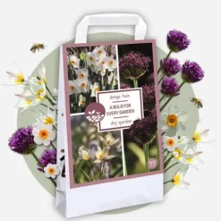 Tør Have Boks - 35 blomsterløg til tørre og solrige steder