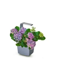 TREGREN Kitchen Garden T3 Grå