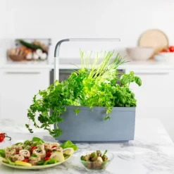 Tregren Kitchen Garden T6 Grå