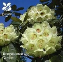 Trengwainton Garden