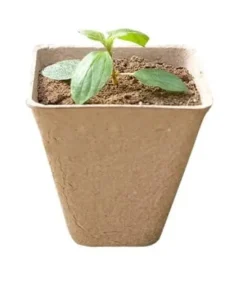 Tørvepotter til frøplanter 8 cm 20 stk.
