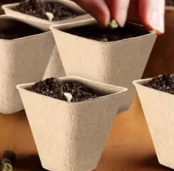 Tørvepotter til frøplanter 8 cm 20 stk.