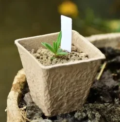 Tørvepotter til frøplanter 8 cm 20 stk.