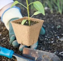 Tørvepotter til frøplanter 8 cm 20 stk.