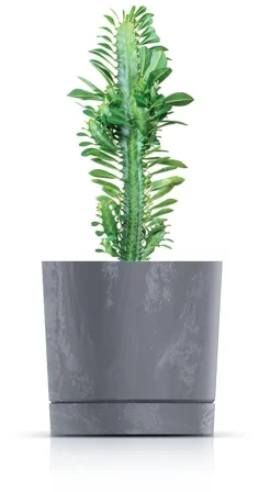 Tubo P Beton Effect 240E Rund Urtepotte med Underkop | Marengo