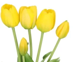 TULIPANER BUKETT AF TULIPANER GUMMIBELAGET GUMMI SILIKONE LIKE LIFE