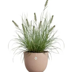 Urtepotte - ELHO - Sereh Rond 40 - Brun - Ø 39 x H 33 cm - 100% genbrugt