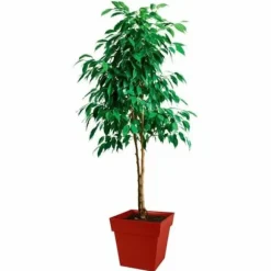 Urtepotte EDA Plastik 39 cm