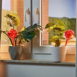 Vandingskugler sæt, 30x9 cm, Glas